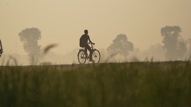 View of a person riding a bicycle through misty fields Bangladesh. View of a person riding a bicycle through misty fields Bangladesh.