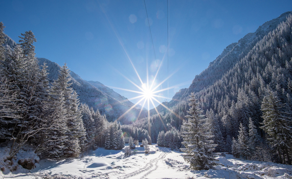 View of the Transfagarasan mountain pass surrounded by snow covered pine forests under a bright sunburst in the Carpathian Mountains Curtea de Arges Judetul Arges Romania. View of the Transfagarasan mountain pass surrounded by snow covered pine forests under a bright sunburst in the Carpathian Mountains Curtea de Arges Judetul Arges Romania.