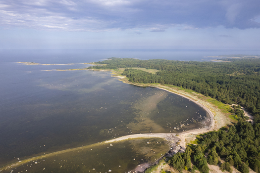 Aerial view of the coastline of the Parispea peninsula featuring a sandy beach dense pine forests and the calm waters of the Baltic Sea in Parispea Harju County Estonia.