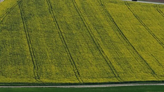 Aerial view of crops France.