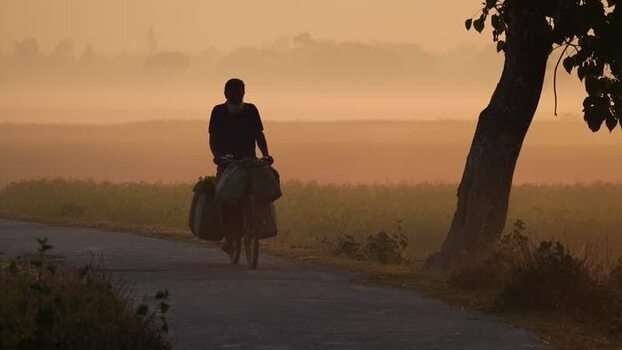 View of a man cycling on a misty road at dawn in Bangladesh. View of a man cycling on a misty road at dawn in Bangladesh.