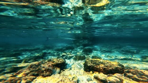 View of a fish swimming over a rocky seabed Thailand.