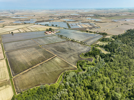 Aerial view of Parco Naturale del Bosco delle Sorti della Partecipanza with flooded rice fields and a traditional farmhouse in Trino Piemonte Italy. Aerial view of Parco Naturale del Bosco delle Sorti della Partecipanza with flooded rice fields and a traditional farmhouse in Trino Piemonte Italy.