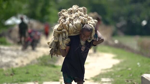 View of a man carrying a heavy bundle of jute fibers Bangladesh.