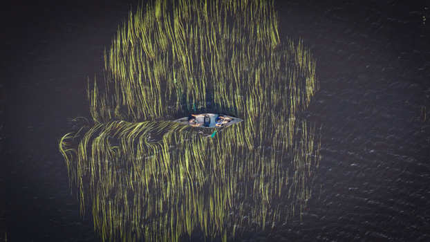 Aerial view of a canoe with two people paddling through tall aquatic grass in Oulujarvi lake Finland.