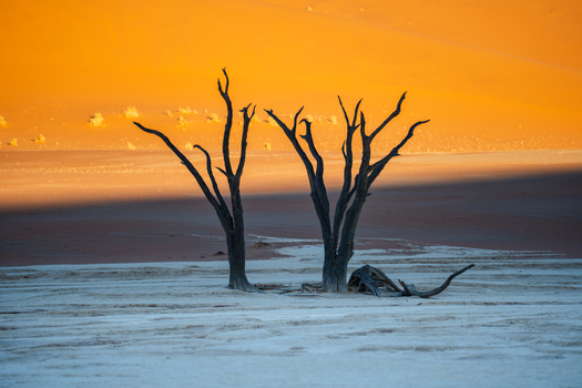 View of stark skeletal trees clawing at the fiery sky above the barren cracked earth a landscape of haunting beauty and desolate silence Sossusvlei Hardap Region Namibia. View of stark skeletal trees clawing at the fiery sky above the barren cracked earth a landscape of haunting beauty and desolate silence Sossusvlei Hardap Region Namibia.