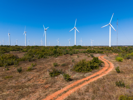 Aerial view of wind turbines at Bolata with a winding dirt path through dry grassy fields under a clear blue sky in Dobrich Province Bulgaria.