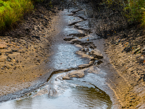 Aerial view of a dried up riverbed with muddy banks and sparse vegetation in Latvia.