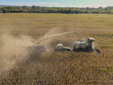 Green Bay Wisconsin United States 25 September 2026 Aerial view of a forage harvester chopping corn for silage into a tractor pulled trailer in a large agricultural field.