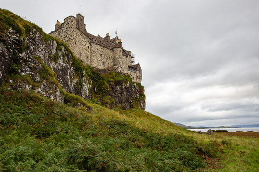 View of Duart Castle perched on a rocky cliff with stone walls and green ferns under a cloudy sky in Isle of Mull Scotland United Kingdom.
