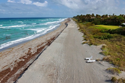 Aerial view of the sandy beach meeting the turquoise ocean with seaweed contrasting against the shore and lush vegetation in the background Jupiter Island Florida United States. Aerial view of the sandy beach meeting the turquoise ocean with seaweed contrasting against the shore and lush vegetation in the background Jupiter Island Florida United States.