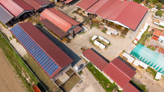 Aerial view of a modern dairy farm featuring large sheds with red roofs solar panels and concrete yards in San Giuliano Milanese Lombardy Italy.