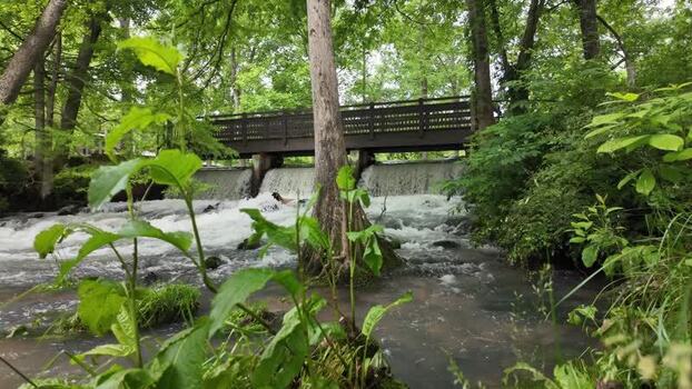 View of the wooden bridge at Maramec Spring Park United States. View of the wooden bridge at Maramec Spring Park United States.