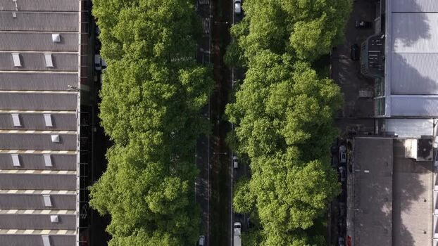 Aerial view of trees along road on a industrial area Portugal.