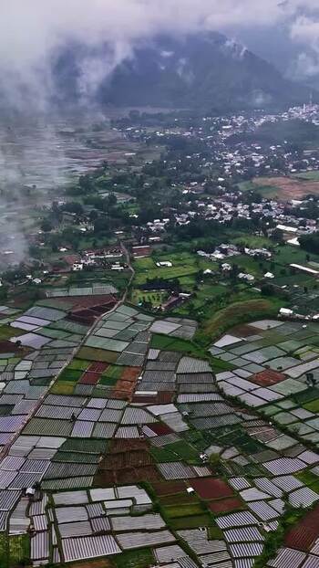 Aerial view of terraced rice fields in the mountains Indonesia.