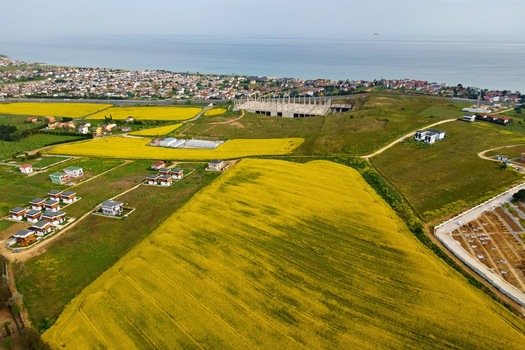 Aerial view of vibrant yellow canola fields and residential houses near the coastline under a clear sky Silivri Istanbul Turkey. Aerial view of vibrant yellow canola fields and residential houses near the coastline under a clear sky Silivri Istanbul Turkey.