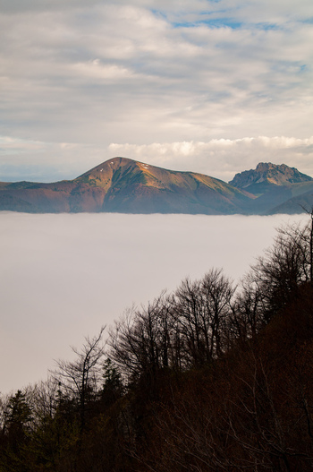 Aerial view of Stoh and Velky Rozsutec peaks rising above a thick layer of clouds in the Mala Fatra mountains with foreground trees Terchova Zilina Region Slovakia. Aerial view of Stoh and Velky Rozsutec peaks rising above a thick layer of clouds in the Mala Fatra mountains with foreground trees Terchova Zilina Region Slovakia.
