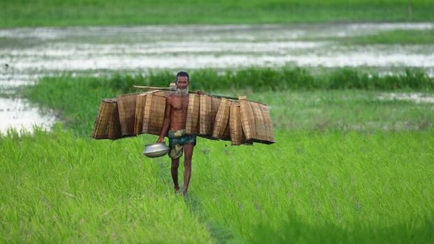 View of a man carrying bamboo fish traps in Bogura Bangladesh.