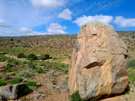 View of a large weathered boulder in the arid landscape of Anysberg Nature Reserve with scrub vegetation and rolling hills under a blue sky in Anysberg Western Cape South Africa. View of a large weathered boulder in the arid landscape of Anysberg Nature Reserve with scrub vegetation and rolling hills under a blue sky in Anysberg Western Cape South Africa.