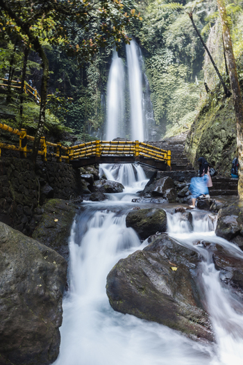 View of Grojogan Sewu waterfall with its powerful twin streams a yellow wooden bridge and mossy rocks surrounded by lush tropical forest in Kecamatan Tawangmangu Jawa Tengah Indonesia.