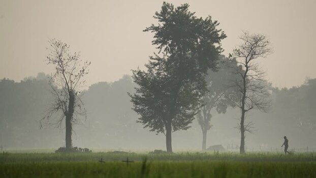 View of a person walking through misty fields in Bogura Bangladesh.