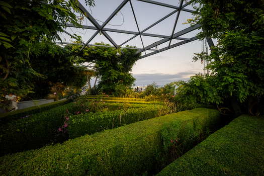 View of The Garden at 120 featuring manicured hedges lush greenery and a modern geometric trellis structure under a soft evening sky in London England United Kingdom. View of The Garden at 120 featuring manicured hedges lush greenery and a modern geometric trellis structure under a soft evening sky in London England United Kingdom.