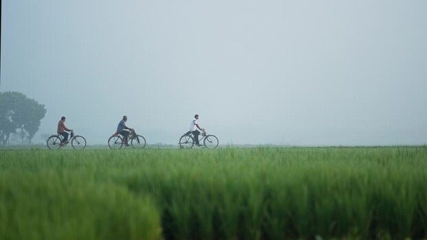 View of men riding bicycles through green fields in Bogura Bangladesh. View of men riding bicycles through green fields in Bogura Bangladesh.