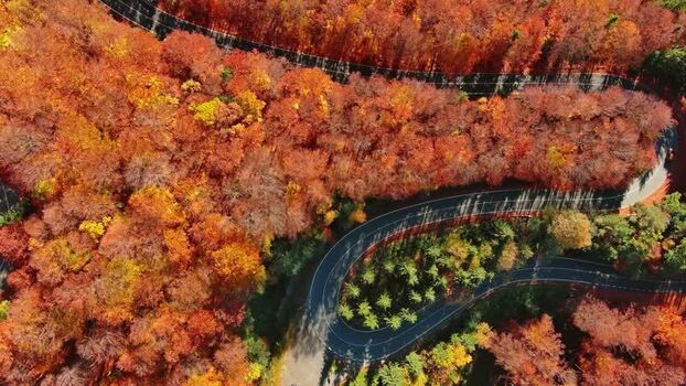 Aerial view of winding road in Carpathian Mountains Romania. Aerial view of winding road in Carpathian Mountains Romania.