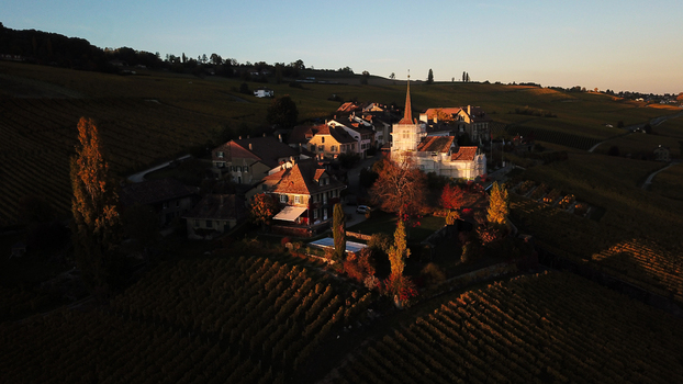 Aerial view of the historic village of Fechy Dessus with its church spire surrounded by lush vineyards during golden hour in Fechy Vaud Switzerland.