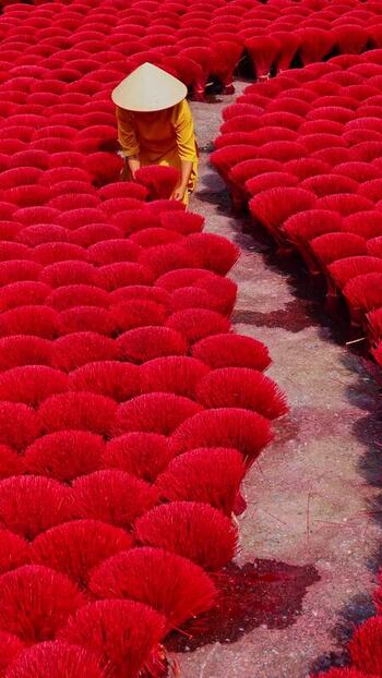 View of incense sticks drying in quang phu cau Vietnam.