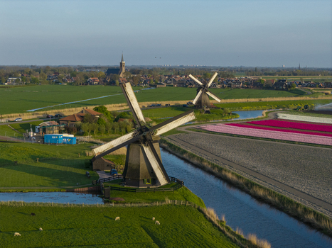 Aerial view of traditional Dutch windmills situated beside a canal and vibrant tulip fields in the Netherlands. Aerial view of traditional Dutch windmills situated beside a canal and vibrant tulip fields in the Netherlands.