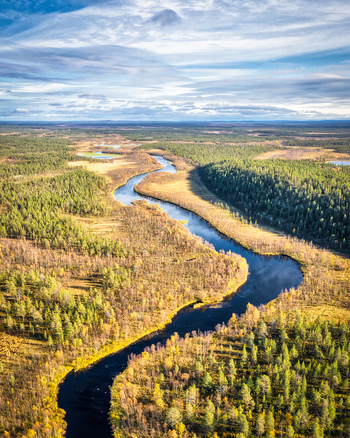 Aerial view of a winding river flowing through a vast boreal forest with golden autumn foliage and evergreen trees under a bright sky in Enontekio Lapland Finland. Aerial view of a winding river flowing through a vast boreal forest with golden autumn foliage and evergreen trees under a bright sky in Enontekio Lapland Finland.