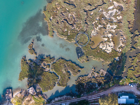 Aerial view of the Kanali i Vivarit wetlands featuring fish traps and circular pens amidst marshy vegetation and turquoise waters in Vrine Vlore County Albania. Aerial view of the Kanali i Vivarit wetlands featuring fish traps and circular pens amidst marshy vegetation and turquoise waters in Vrine Vlore County Albania.