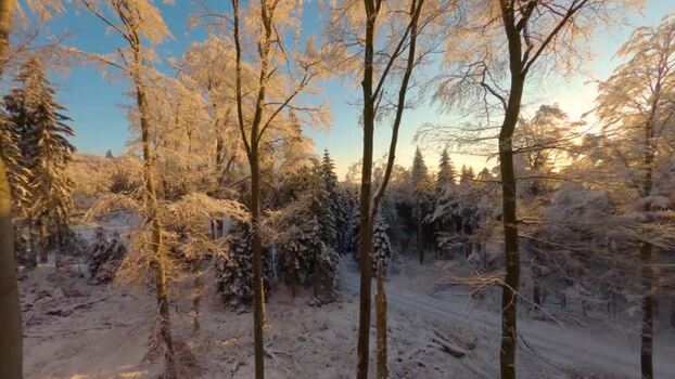 FPV aerial view of snow covered forest in Germany.