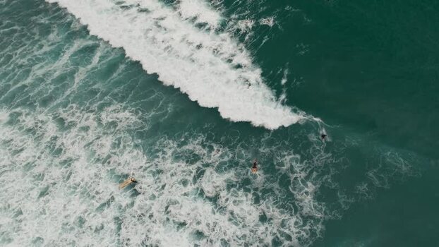 Aerial view of surfers at La Jolla Cove United States.