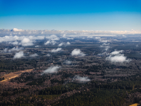 Aerial view of a vast forest landscape with scattered clouds under a clear blue sky in Olaine parish Olaine Municipality Latvia. Aerial view of a vast forest landscape with scattered clouds under a clear blue sky in Olaine parish Olaine Municipality Latvia.
