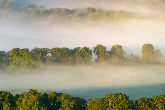Aerial view of lush green trees emerging from a thick layer of morning mist in the rolling countryside of Nuffield Oxfordshire United Kingdom. Aerial view of lush green trees emerging from a thick layer of morning mist in the rolling countryside of Nuffield Oxfordshire United Kingdom.