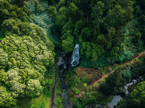 Aerial view of a cascading waterfall embraced by a verdant forest where nature s symphony unfolds in a tapestry of emerald hues Achada Açores Portugal. Aerial view of a cascading waterfall embraced by a verdant forest where nature s symphony unfolds in a tapestry of emerald hues Achada Açores Portugal.