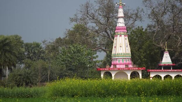 View of a Hindu temple spire behind a yellow flower field India. View of a Hindu temple spire behind a yellow flower field India.