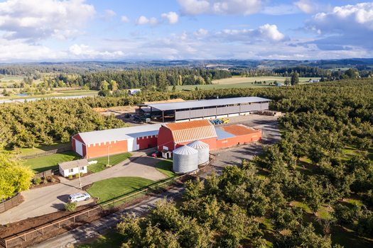 Aerial view of a hazelnut farm featuring red barns metal silos and expansive orchards under a blue sky in Woodburn Oregon United States. Aerial view of a hazelnut farm featuring red barns metal silos and expansive orchards under a blue sky in Woodburn Oregon United States.