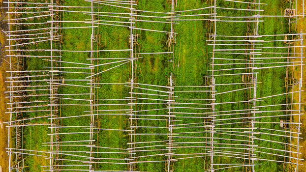 Aerial view of fish drying facility with wooden racks arranged in rows over a green field in Hafnarfjordur Hafnarfjardarkaupstad Iceland. Aerial view of fish drying facility with wooden racks arranged in rows over a green field in Hafnarfjordur Hafnarfjardarkaupstad Iceland.