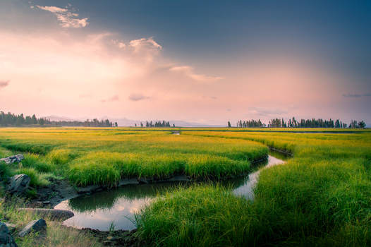 View of the lush green meadows and winding stream of Yellowstone National Park under a dramatic sunset sky in the United States.