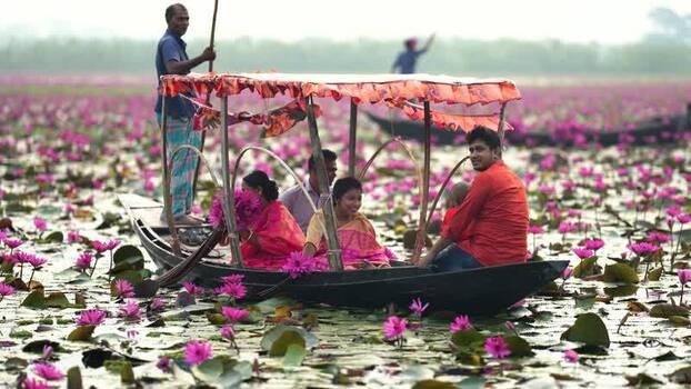 View of people in a boat on a water lily pond in Barishal Bangladesh. View of people in a boat on a water lily pond in Barishal Bangladesh.