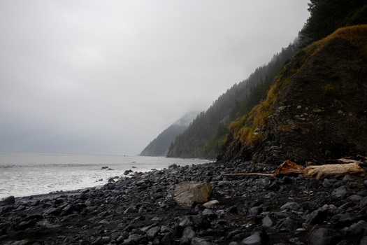 View of the rugged Lost Coast shoreline with a rocky beach dark stones and driftwood against steep forested cliffs under a foggy sky in Humboldt County California United States.
