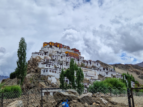 View of Thiksey Monastery perched on a rocky hillside with white buildings vibrant yellow and red roofs surrounded by lush green trees in Leh Ladakh India.