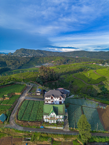 Aerial view of a colonial style house with a green roof nestled among lush tea plantations and rolling hills in the highlands of Nuwara Eliya Central Province Sri Lanka. Aerial view of a colonial style house with a green roof nestled among lush tea plantations and rolling hills in the highlands of Nuwara Eliya Central Province Sri Lanka.