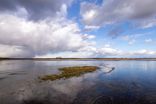 View of Biebrza wetlands with a small grassy island in a partially frozen marsh under a dramatic cloudy sky in Podlaskie Voivodeship Poland.