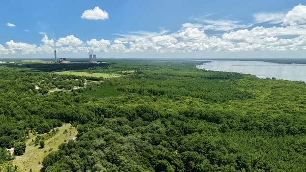 Aerial view of the Seminole Electric power plant with its fuel tanks and cooling towers rising above the dense green forest and the St. Johns River in Palatka Florida United States.