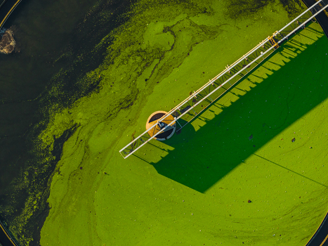 Aerial view of a water treatment plant with vibrant green algae covering the circular tank and a mechanical bridge structure casting a long shadow in Rome Lazio Italy.