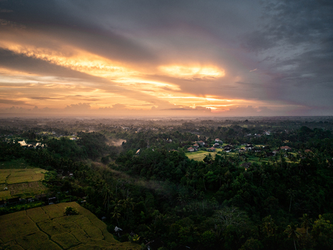 Aerial view of the lush Bali jungle landscape at sunset featuring dense tropical vegetation terraced rice fields and scattered village houses under a dramatic golden sky Bali Indonesia.